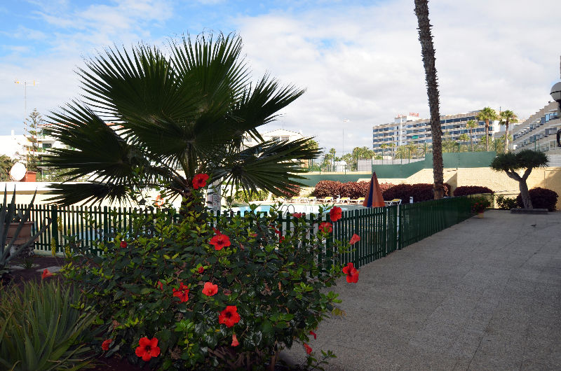 Apartamentos Los Juncos I Playa del Inglés Extérieur photo