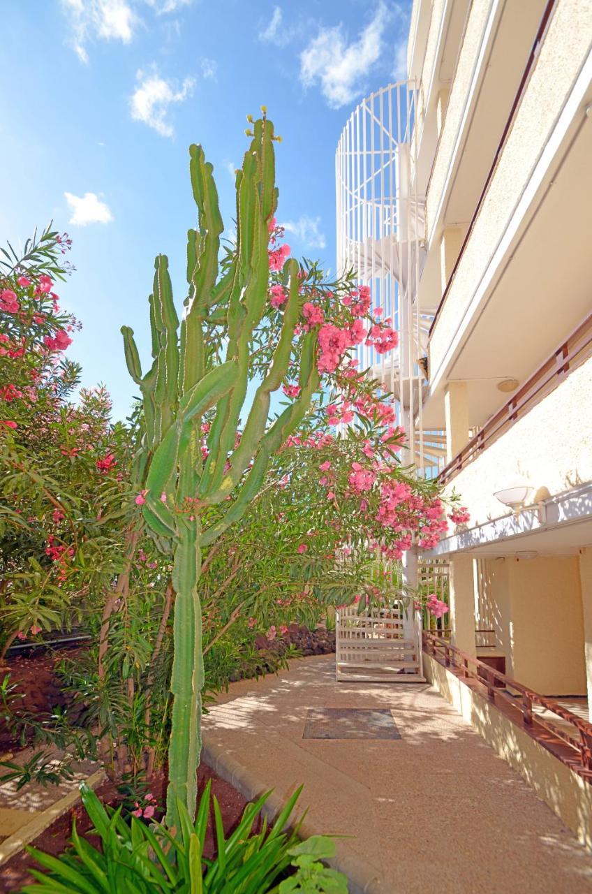 Apartamentos Los Juncos I Playa del Inglés Extérieur photo